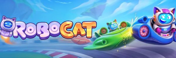 Robocat support page listing the complaints escalation path